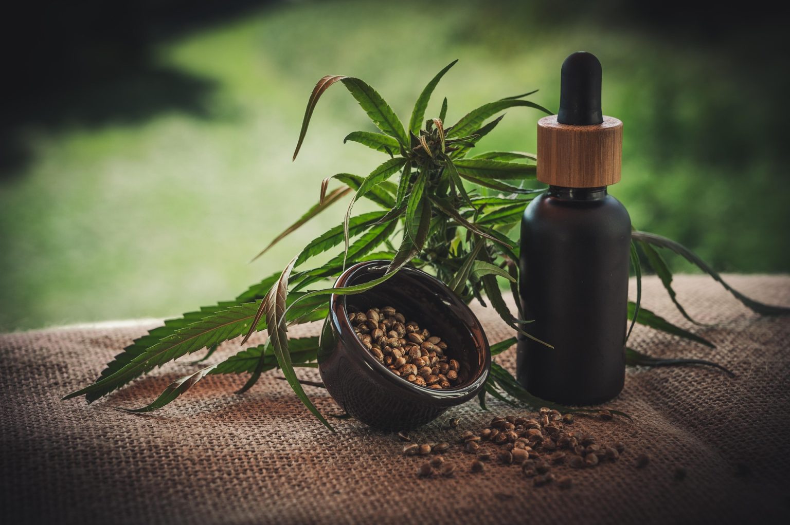 Imagen principal del artículo: Ya se pueden registrar en el país productos medicinales a base de cannabis con THC