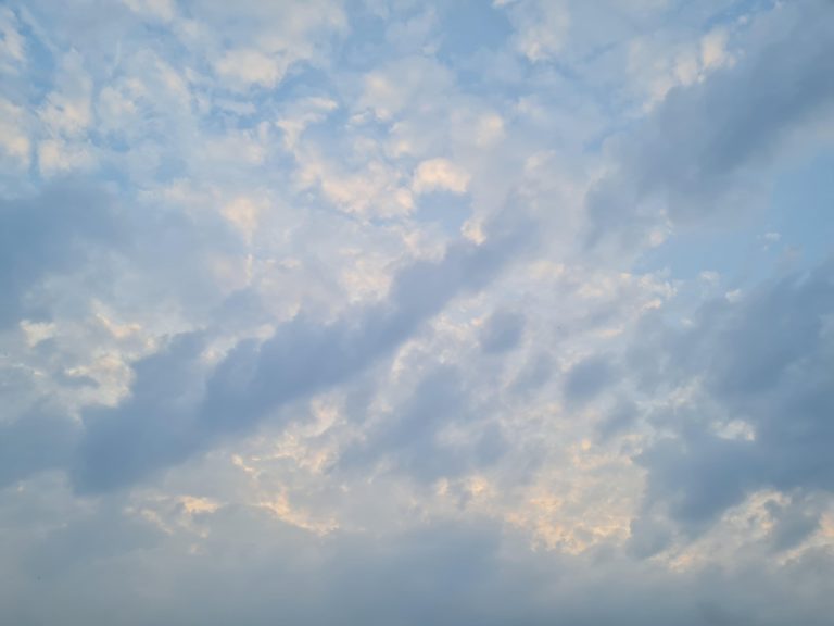 Volatilidad: una Telaraña sobre nubes