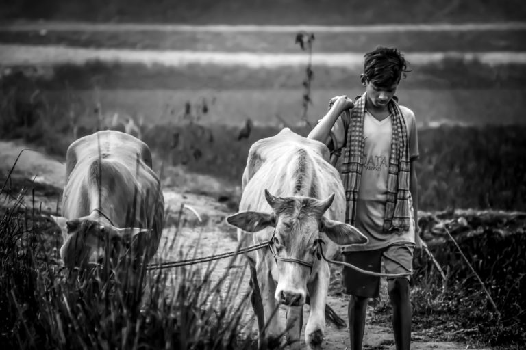 La cosecha de la dignidad: luchas invisibles, derechos pendientes