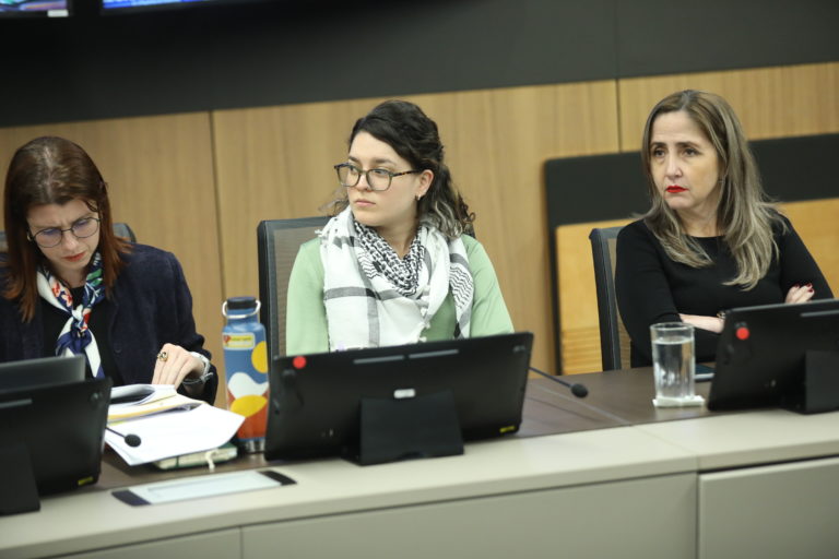 Diputada del Frente Amplio propone cerrar la DIS