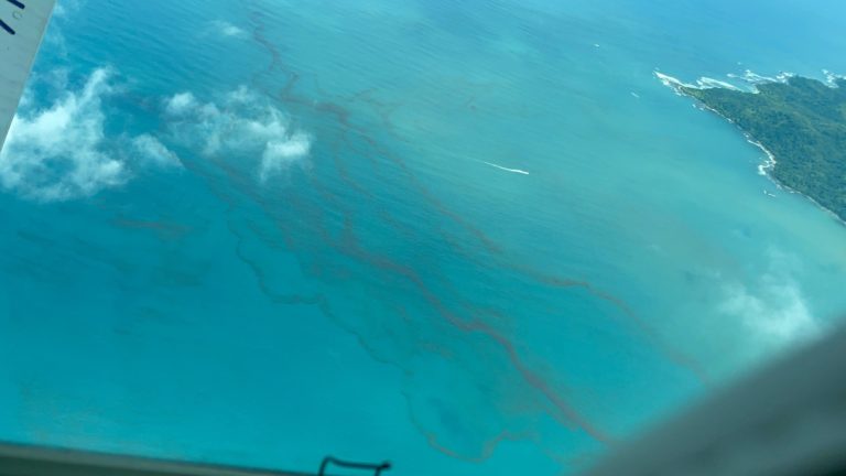 Investigadores de la UNA detectan floración algal en el Golfo de Nicoya