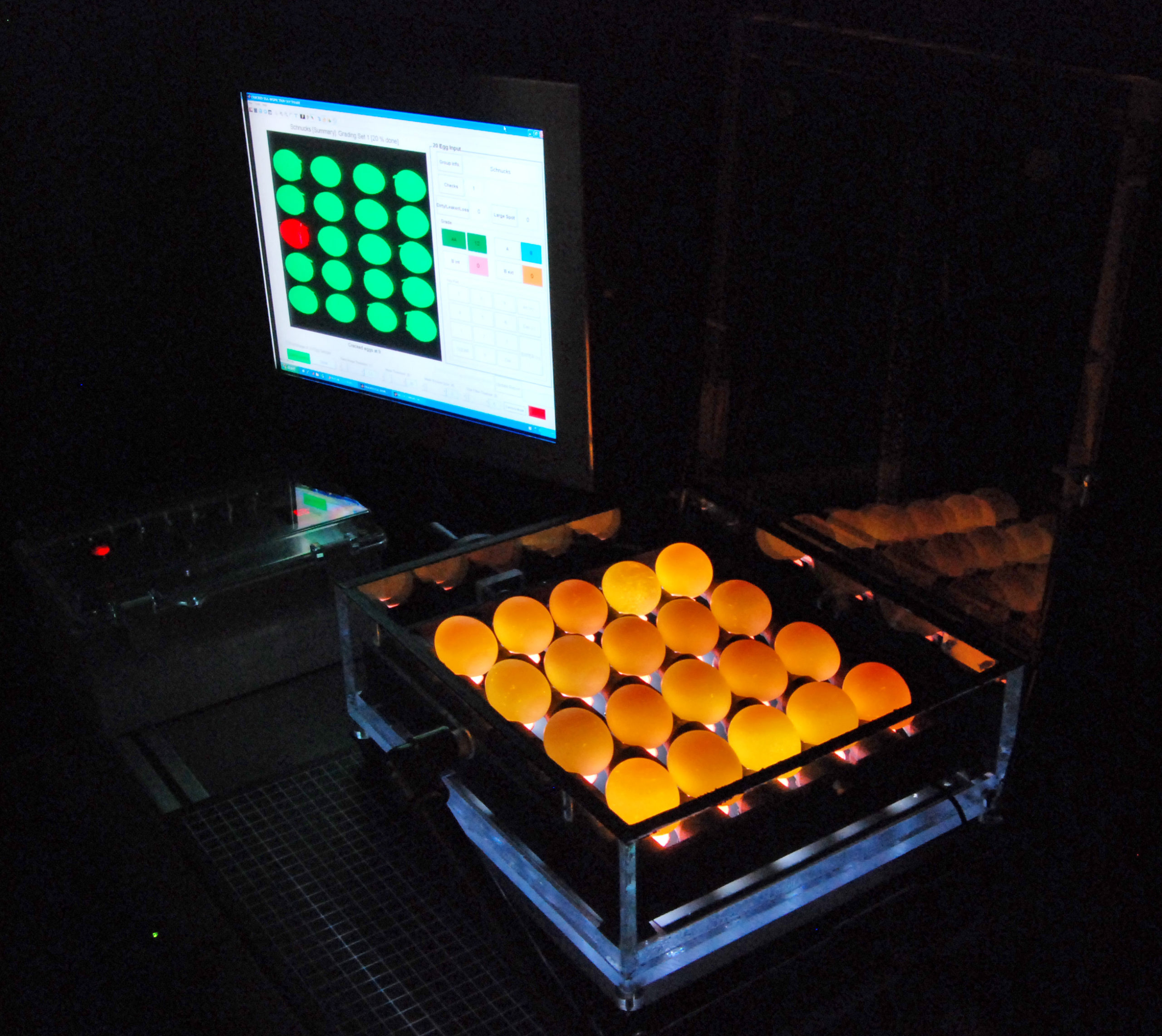 Imagen principal del artículo: El huevo: tesoro nutricional para la seguridad alimentaria de las familias centroamericanas