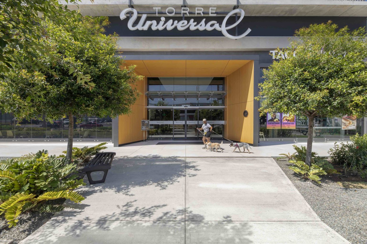 Imagen principal del artículo: Torre Universal celebrará el Día Mundial del Perro con feria pet friendly y campaña solidaria