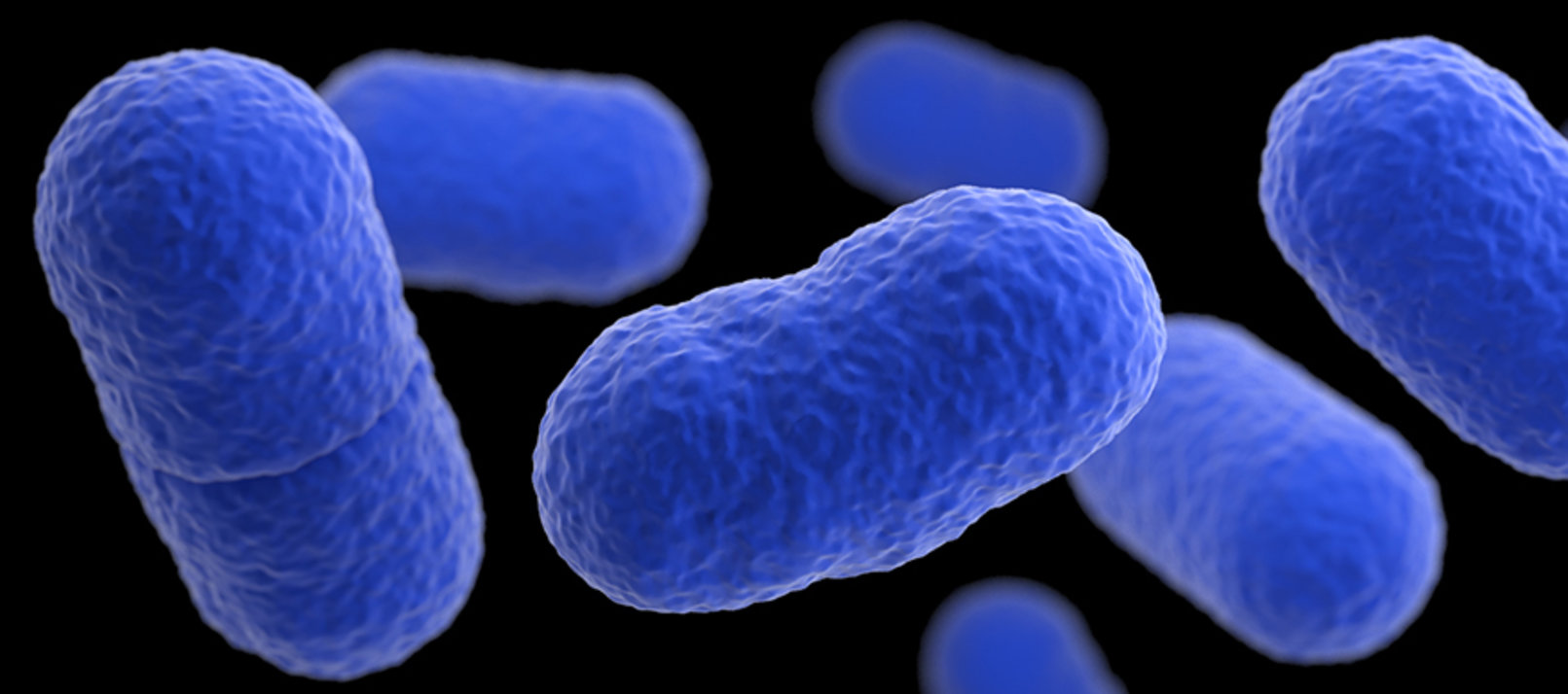 Imagen principal del artículo: Salud emite advertencia sanitaria por presencia de listeria en vegetales congelados marca Minuto Verde