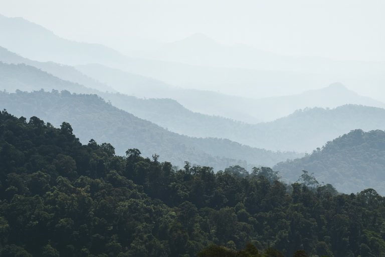 Costa Rica confirma proyecto para ampliar los resultados de programa REDD+