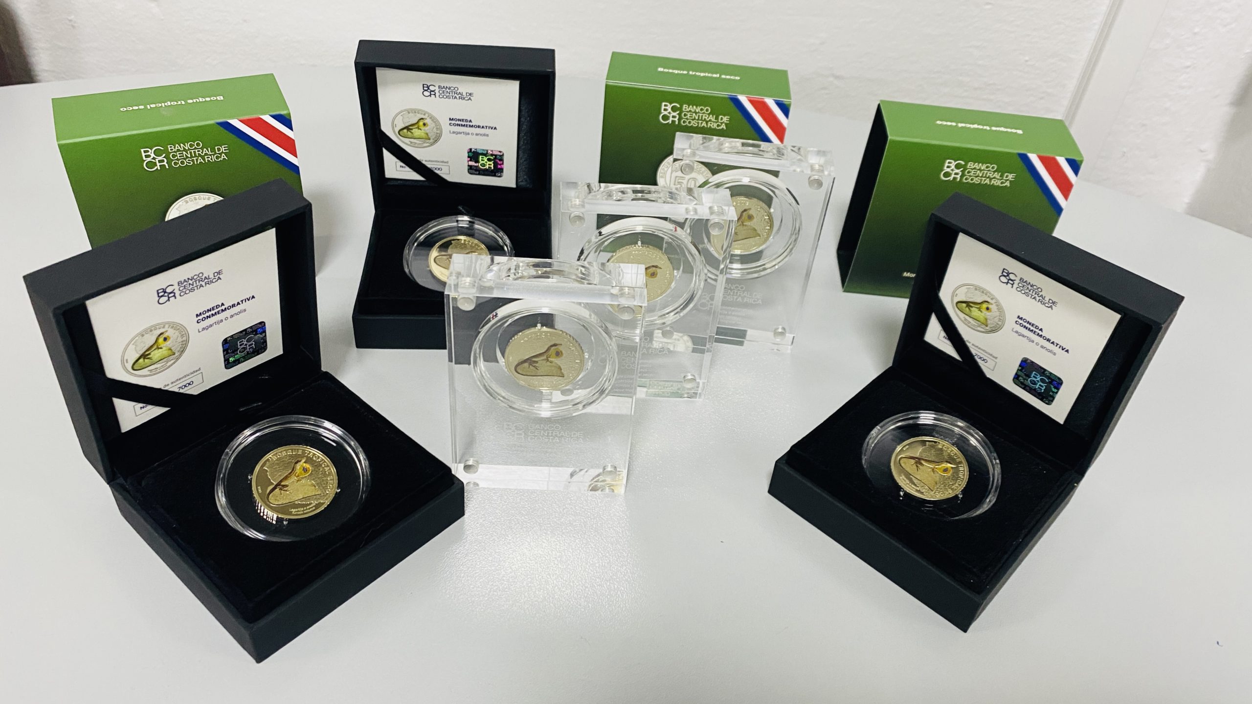 Imagen principal del artículo: BN habilita venta en línea de moneda coleccionable “Lagartija”