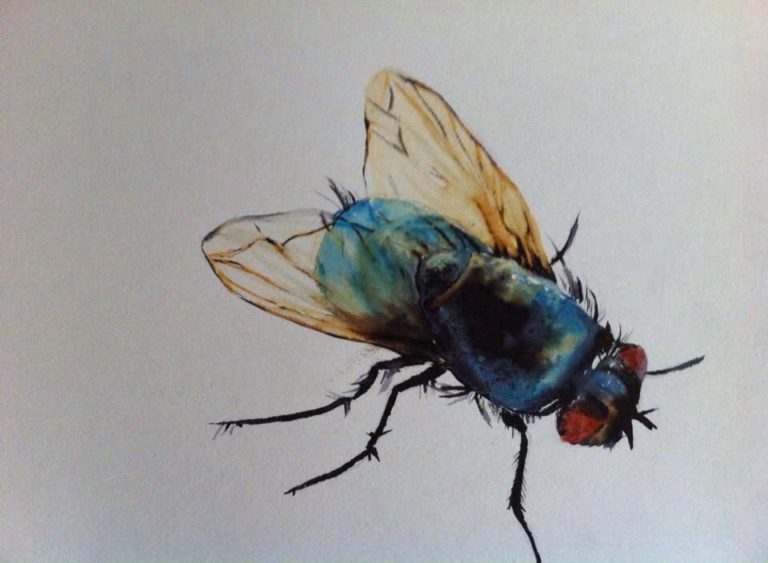 Almas moscas: una Telaraña con John Vargas y CANINA