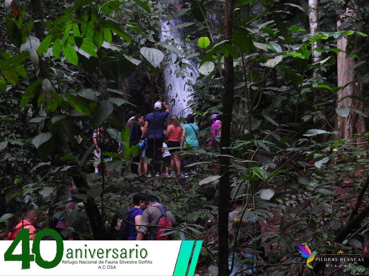 Imagen principal del artículo: Refugio Nacional de Fauna Silvestre Golfito celebra su 40 aniversario con actividades comunales