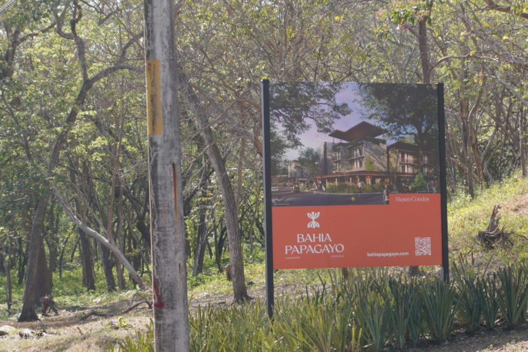 72 organizaciones y miles de personas exigen frenar Bahía Papagayo y denuncian persecución judicial contra defensores ambientales