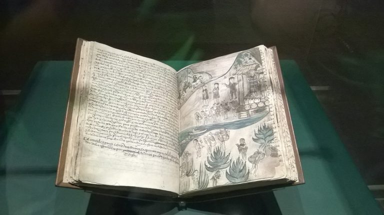 Una telaraña sobre canibalismo