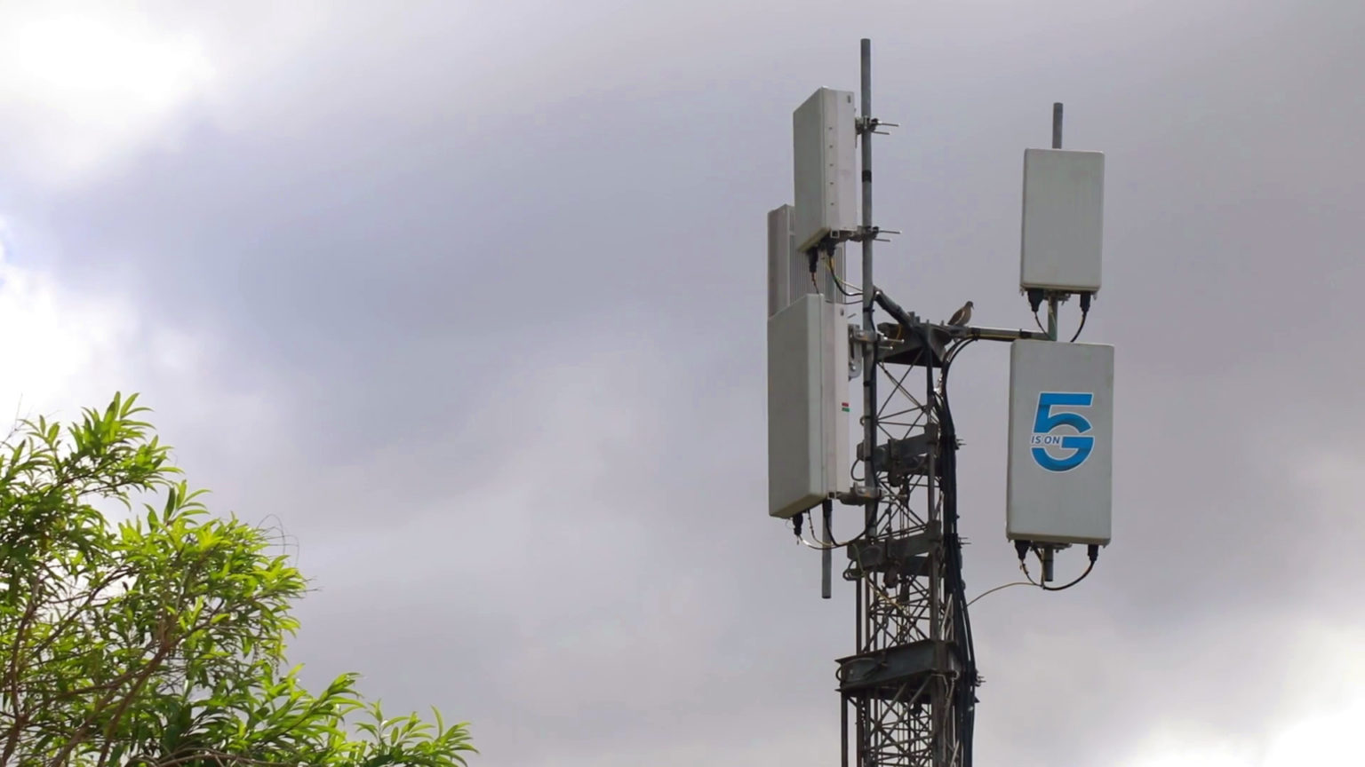 Imagen principal del artículo: Tribunal rechaza apelación de sindicato del ICE en contra de reglamento de ciberseguridad para redes 5G