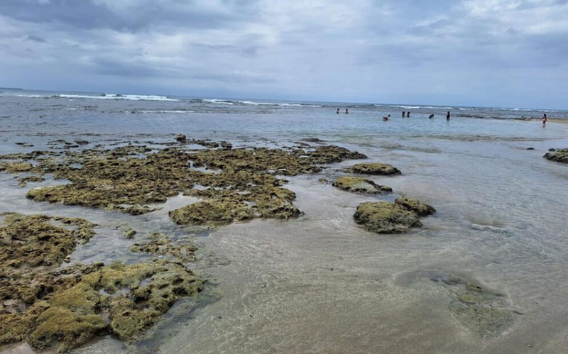 Imagen principal del artículo: Grupos ambientalistas y comunitarios rechazan el proyecto de atracadero en Puerto Viejo