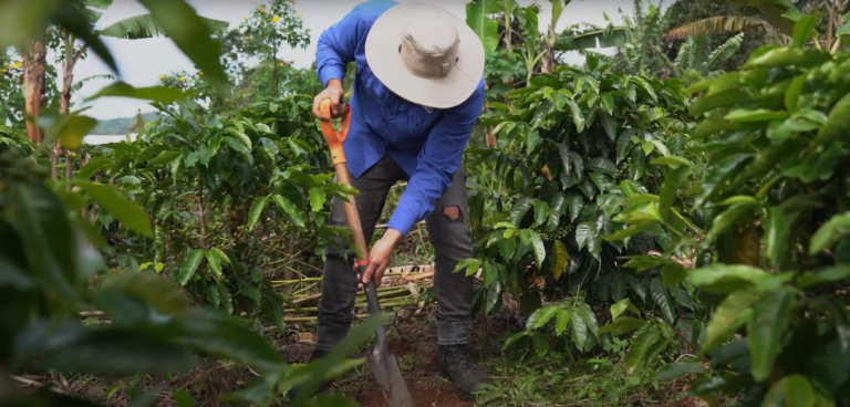 UNED inaugura laboratorio para investigación en agua y suelos en San Marcos de Tarrazú
