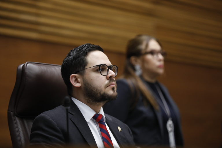 Diputado propone sustituir el término “pornografía infantil” en el Código Penal