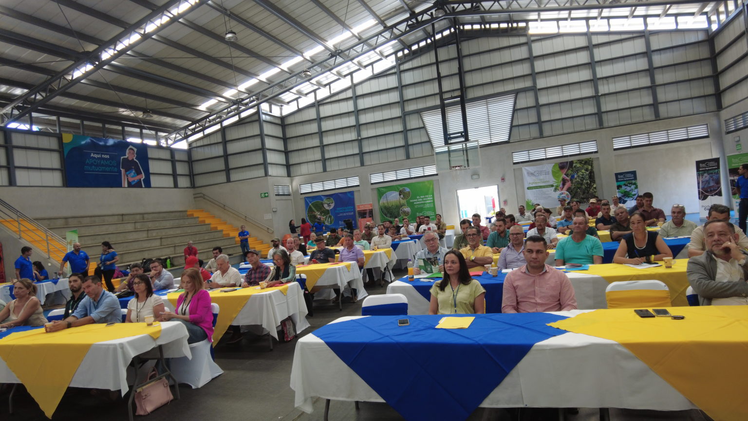 Imagen principal del artículo: INA capacita al sector cafetalero de Occidente