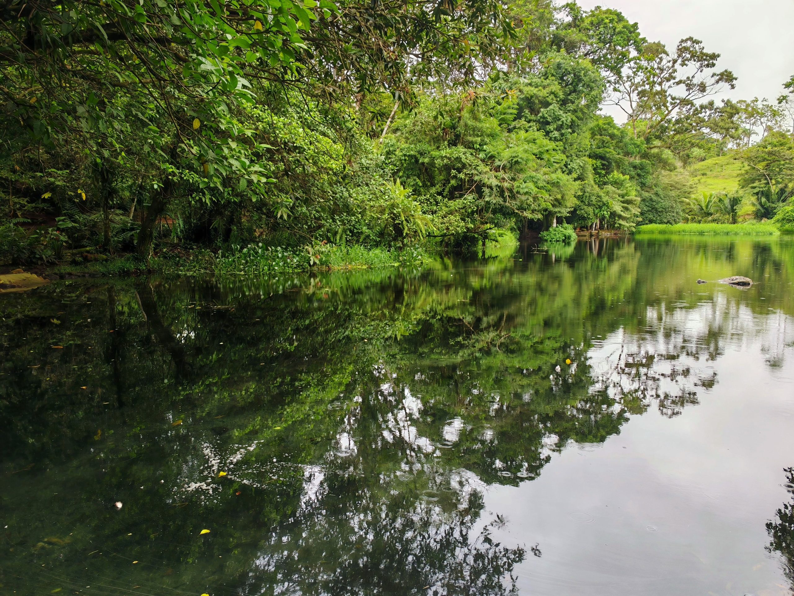 En este setiembre, Bijagua abre sus puertas para recordar que <strong>más allá del río Celeste, la conservación y la vida comunitaria son el verdadero corazón del destino. </strong>Fotografía por Diego Benitez.