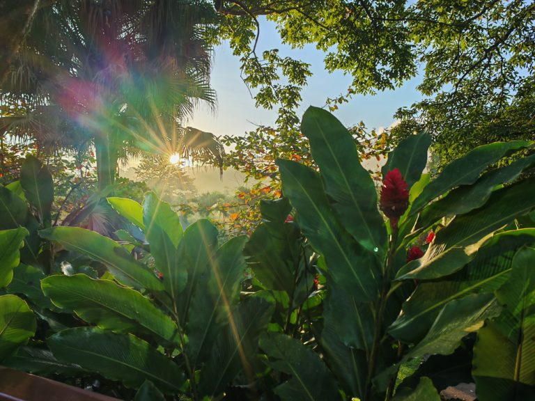 Más allá del río Celeste; Bijagua, el tesoro escondido de Upala