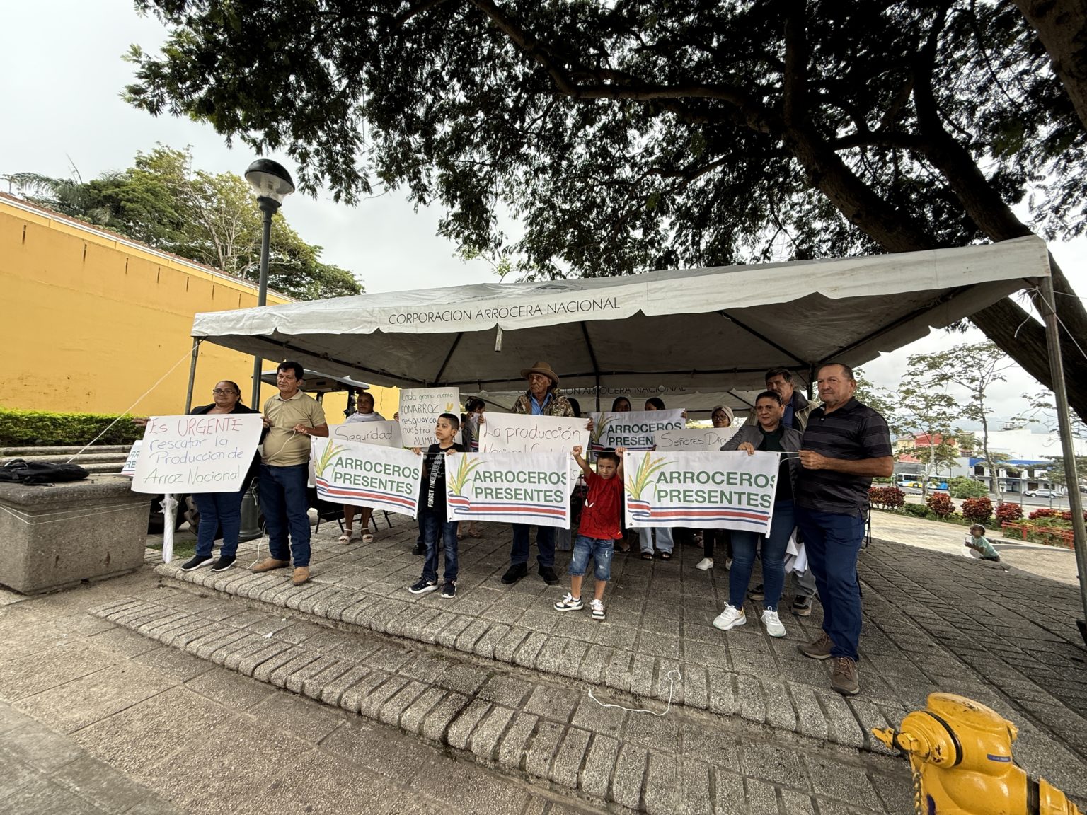 Imagen principal del artículo: Productores de arroz acampan afuera del Congreso para pedir por aprobación de proyecto de ley