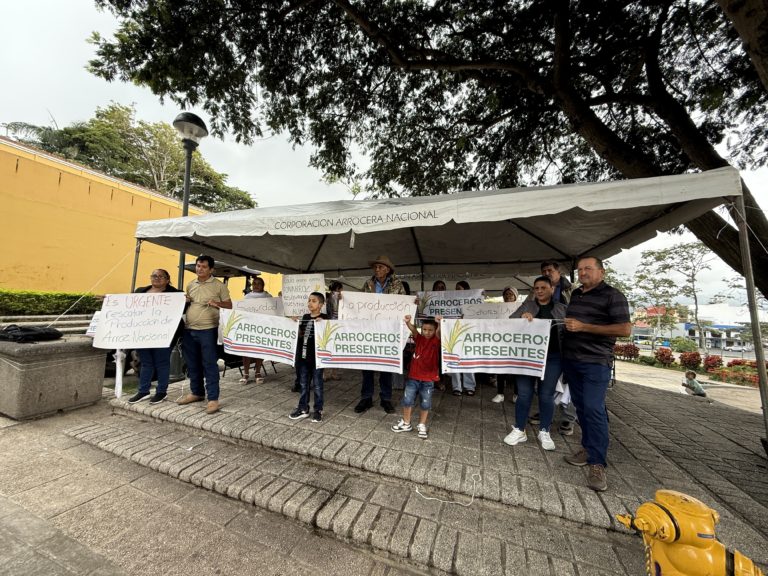 Productores de arroz acampan afuera del Congreso para pedir por aprobación de proyecto de ley