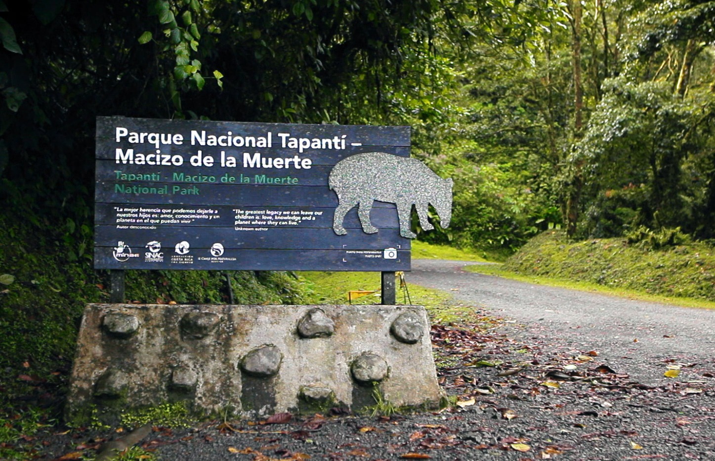 Imagen principal del artículo: Del ingreso irregular a zonas de protección y otras verdades