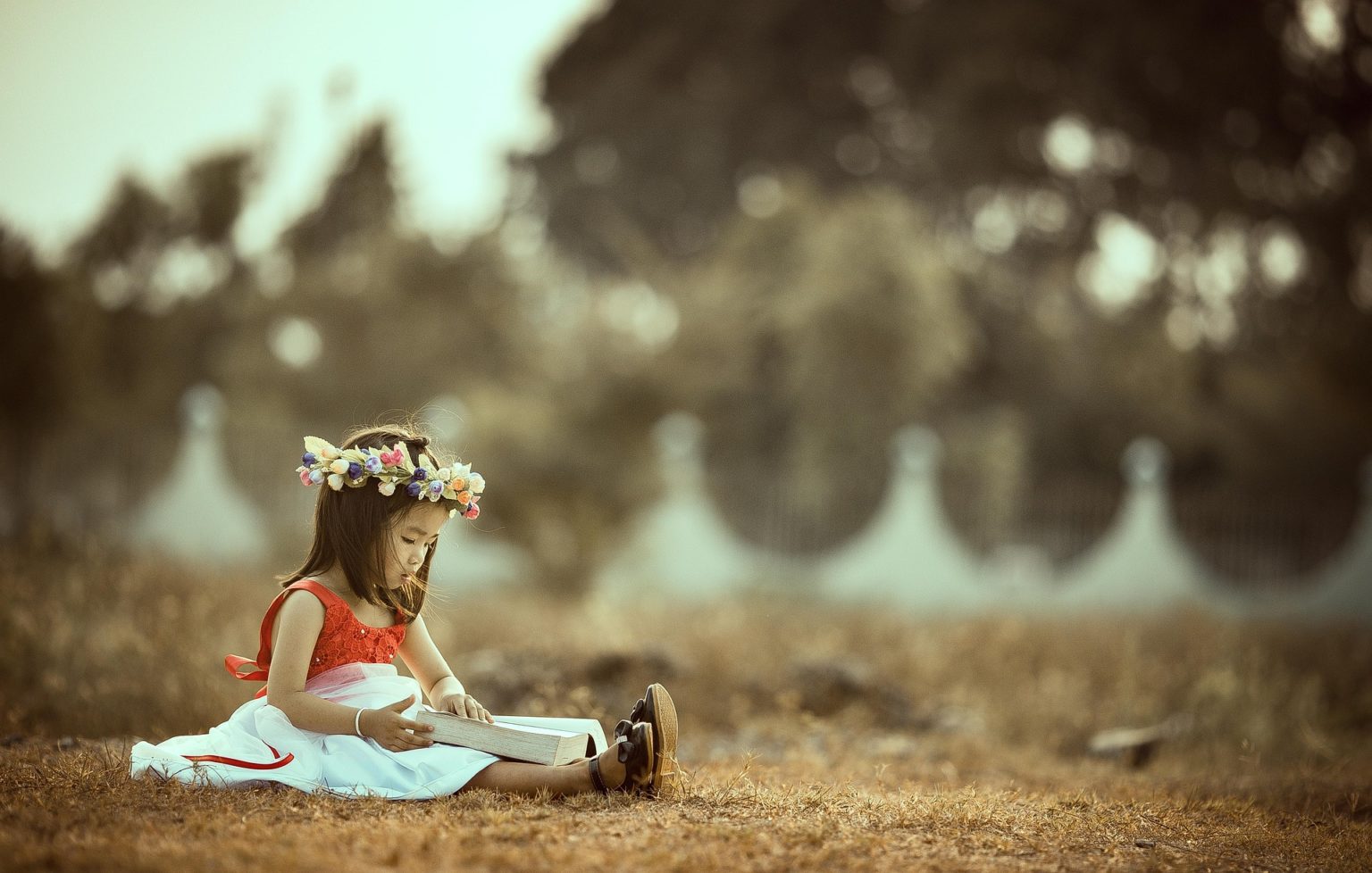 Imagen principal del artículo: La lectoescritura: clave para recuperar la calidad educativa