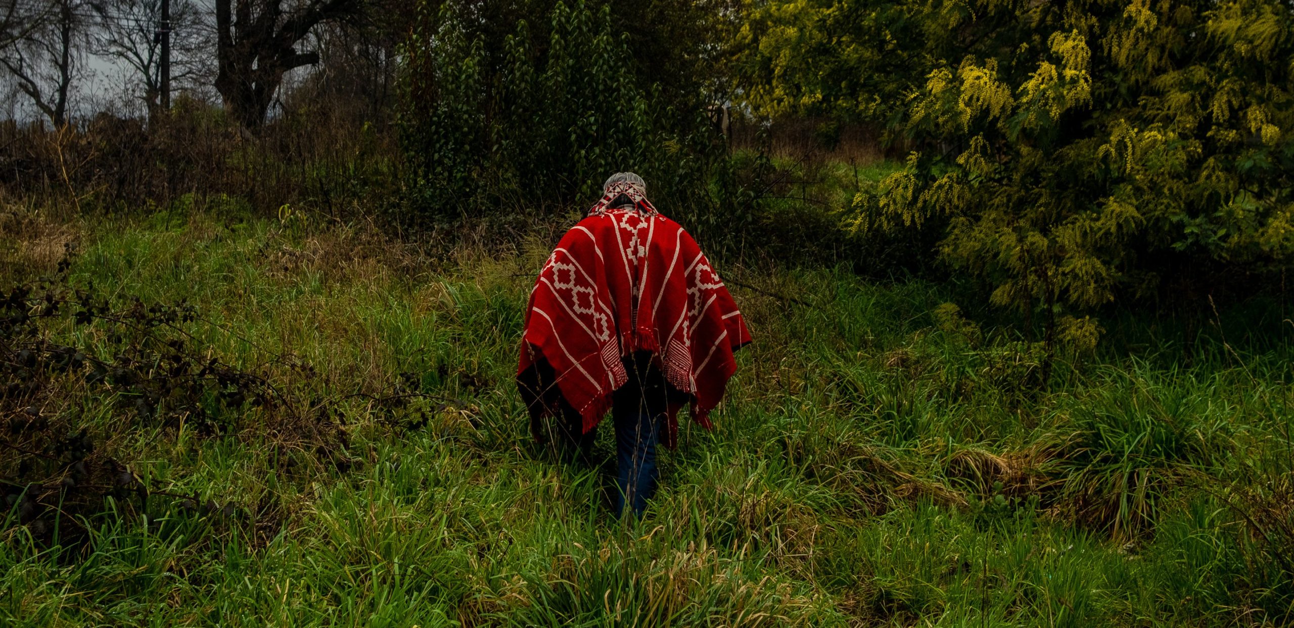 Imagen principal del artículo: Latinoamérica concentra más del 80% de los asesinatos de ambientalistas