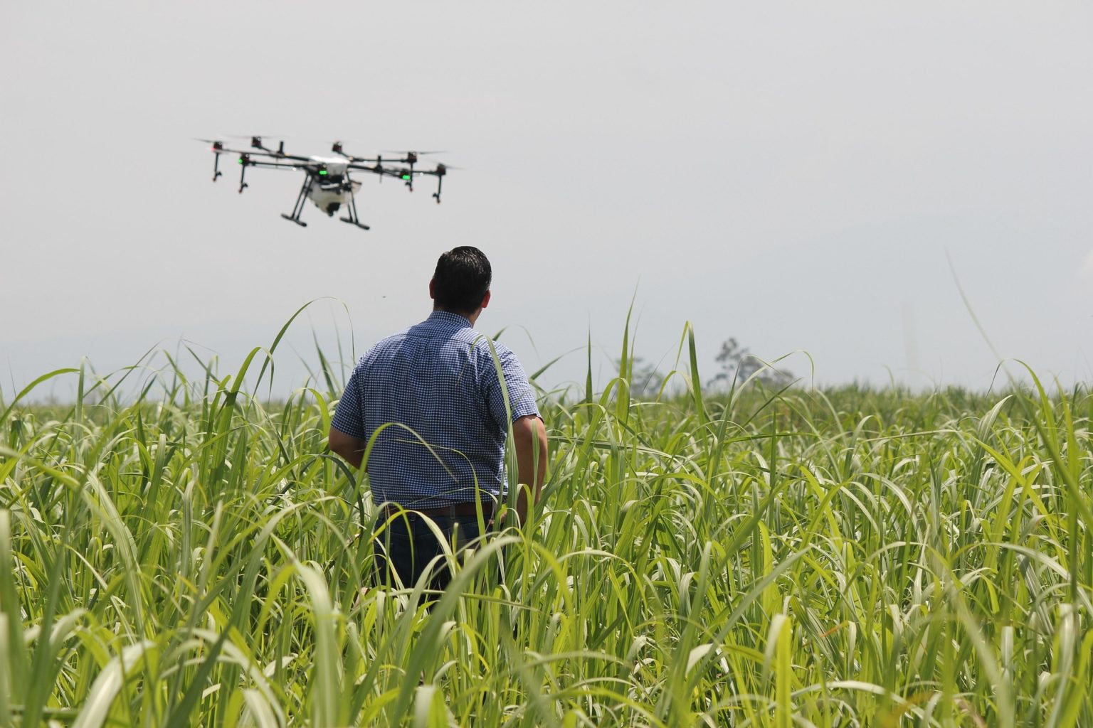 Imagen principal del artículo: Agricultura de precisión: un aliado para el uso responsable de agroquímicos
