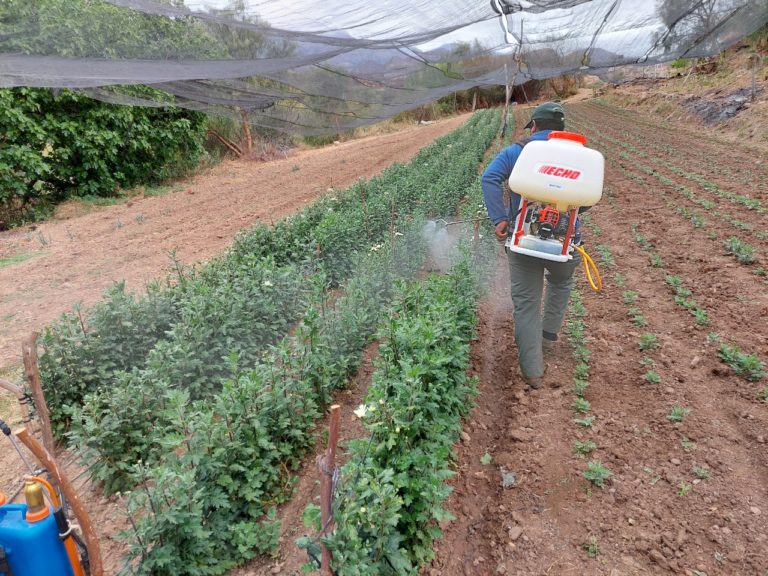 Organizaciones exigen medidas tras intoxicación con herbicida de estudiantes en escuela de Heredia