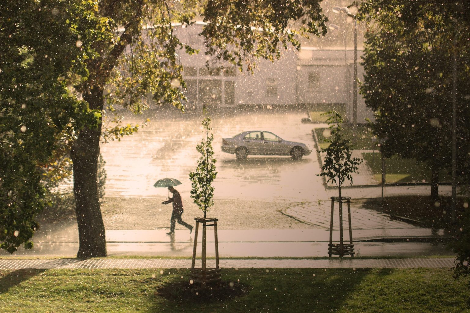 Imagen principal del artículo: Emergencias climáticas que afectan la vida de las personas