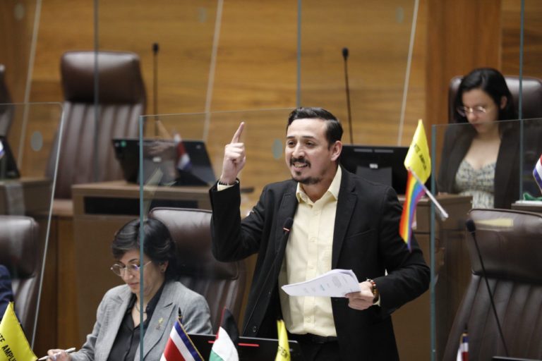 Frente Amplio presenta denuncia penal por tala de árboles en San Carlos