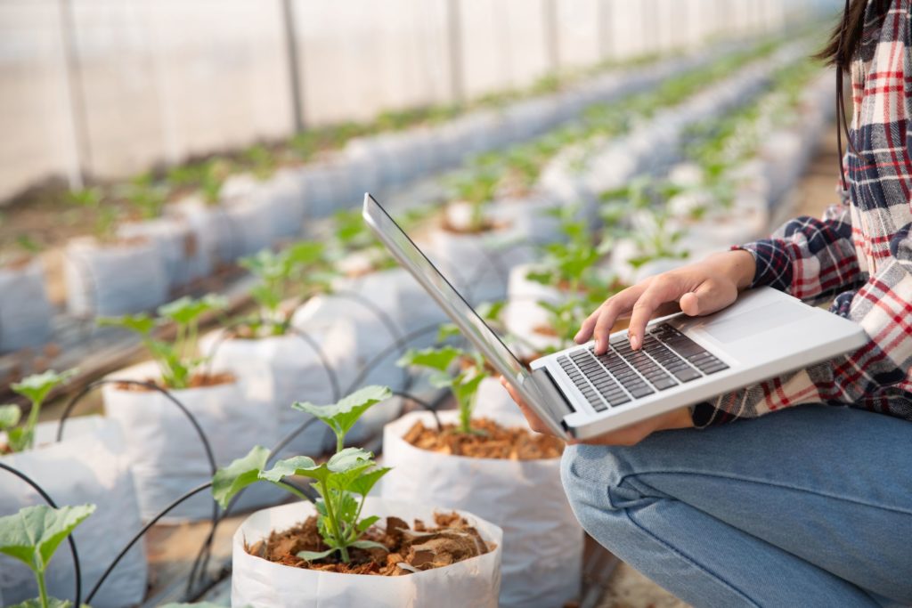 GBM y SofOS se alían para impulsar la transformación digital de la agroindustria en Centroamérica