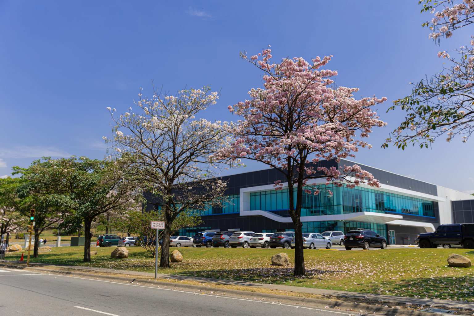 Imagen principal del artículo: Coyol Free Zone reafirma su liderazgo global con nuevos premios internacionales