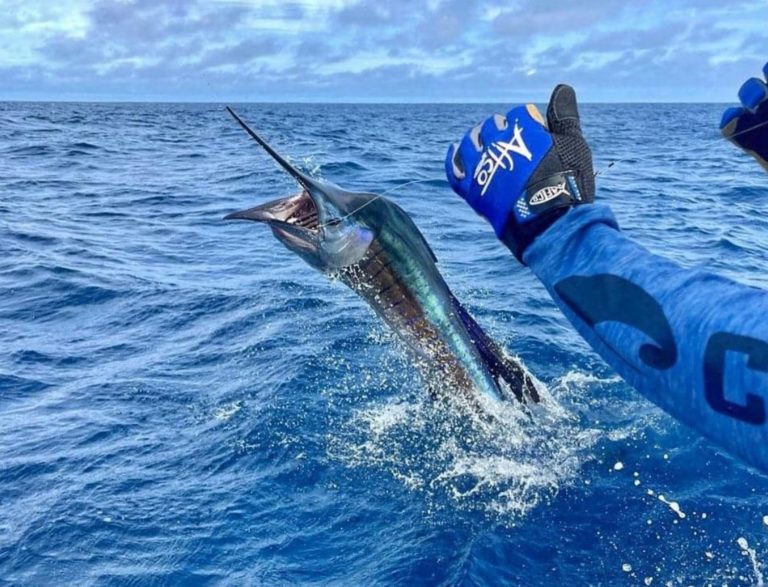 Sector de pesca turística y deportiva pide a candidaturas compromiso con su actividad