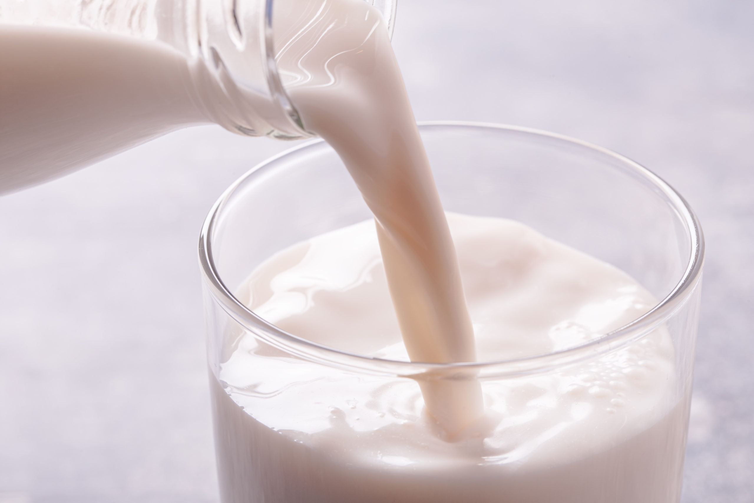 Imagen principal del artículo: La leche: un alimento que nutre y fortalece la salud