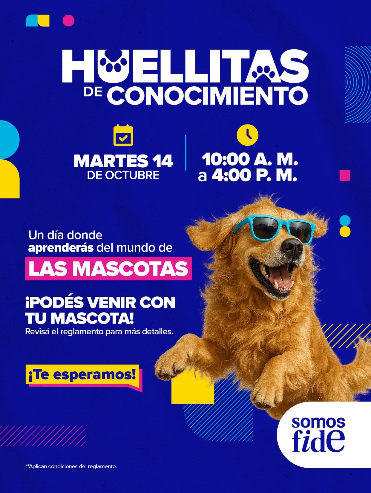 Evento Fidélitas tenencia responsable