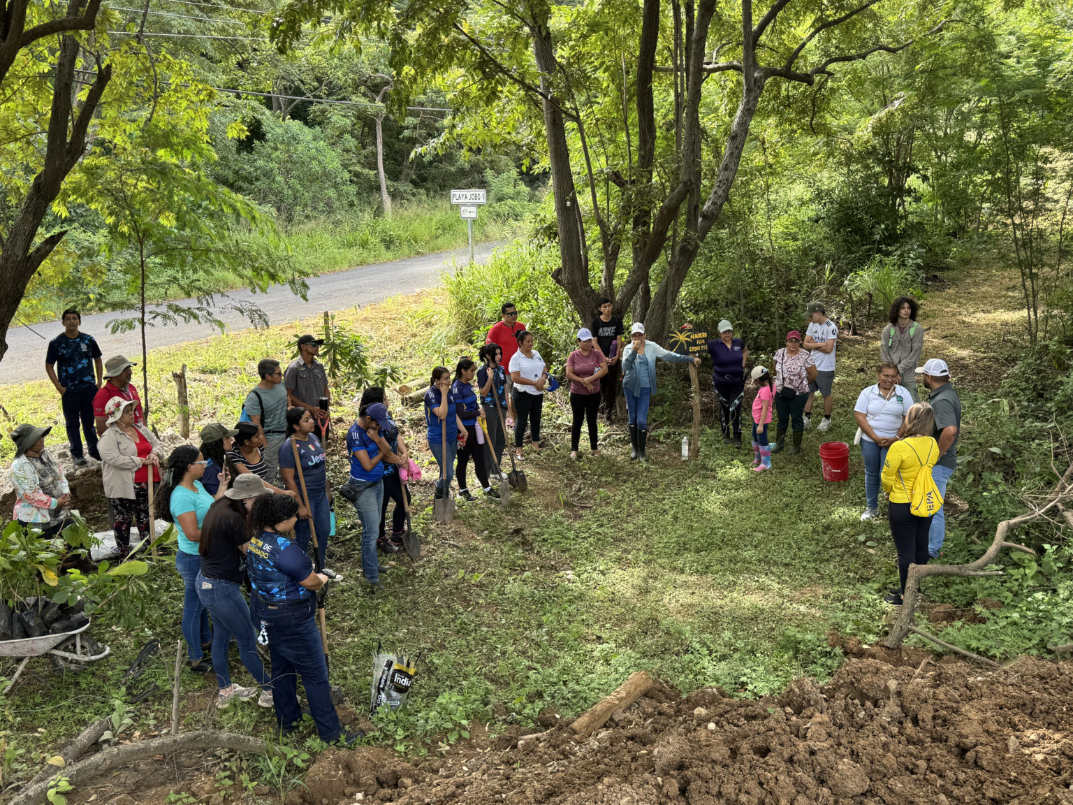 Imagen principal del artículo: Voluntarios siembran 300 árboles autóctonos en Playa El Jobo