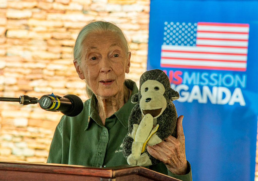 Jane Ruster La partida de un ángel del Planeta Tierra: Dra. Jane Goodall