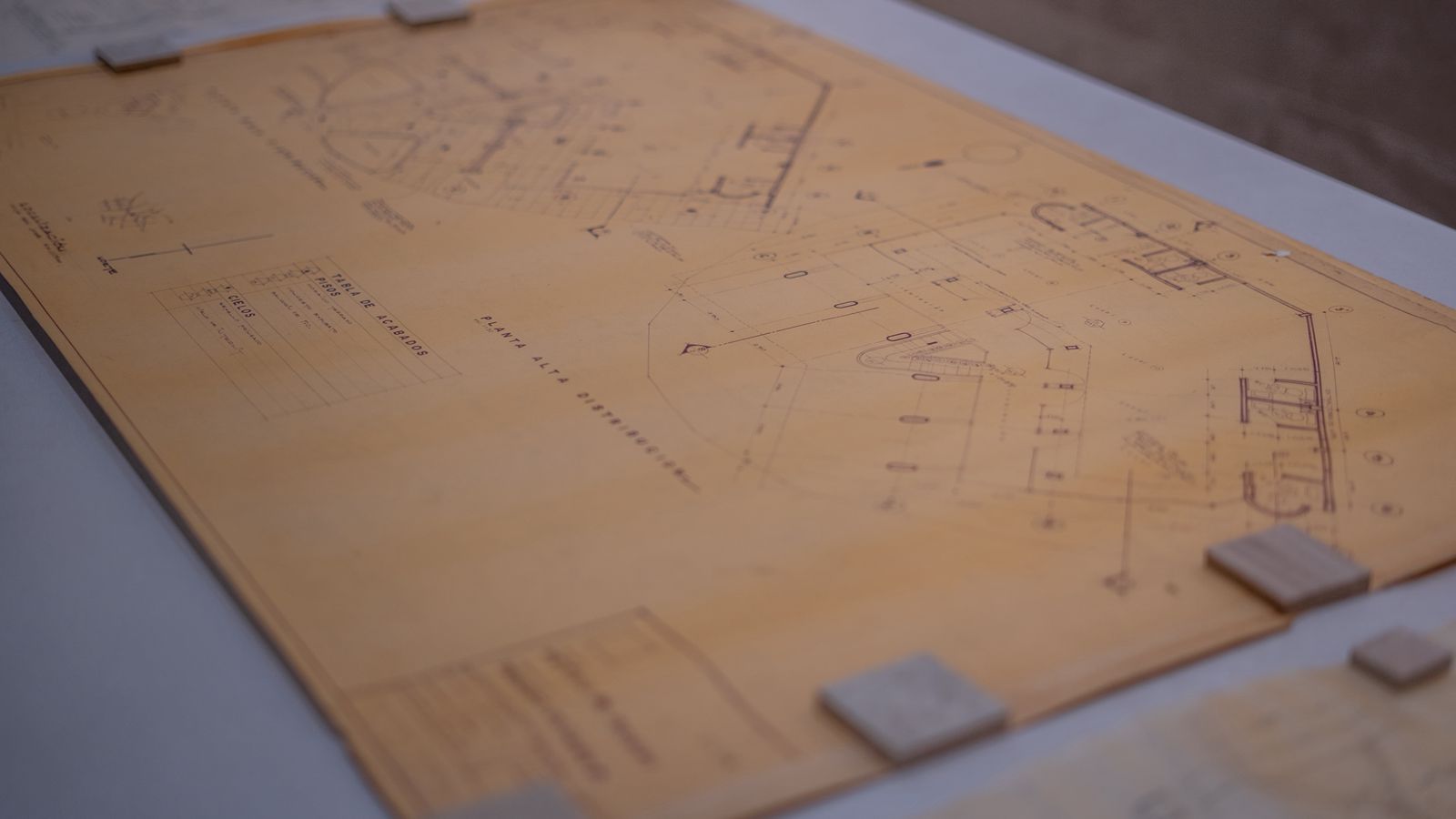 Imagen principal del artículo: Arquitectura viva: encuentro reúne a los grandes nombres y nuevas promesas en Costa Rica