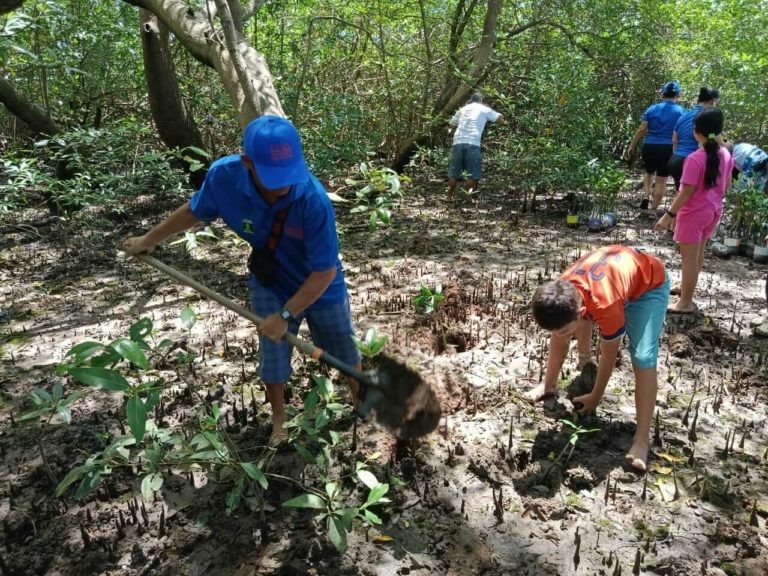 Sembrar el futuro: Vecinos de Puntarenas se unen para cuidar manglar en Chacarita