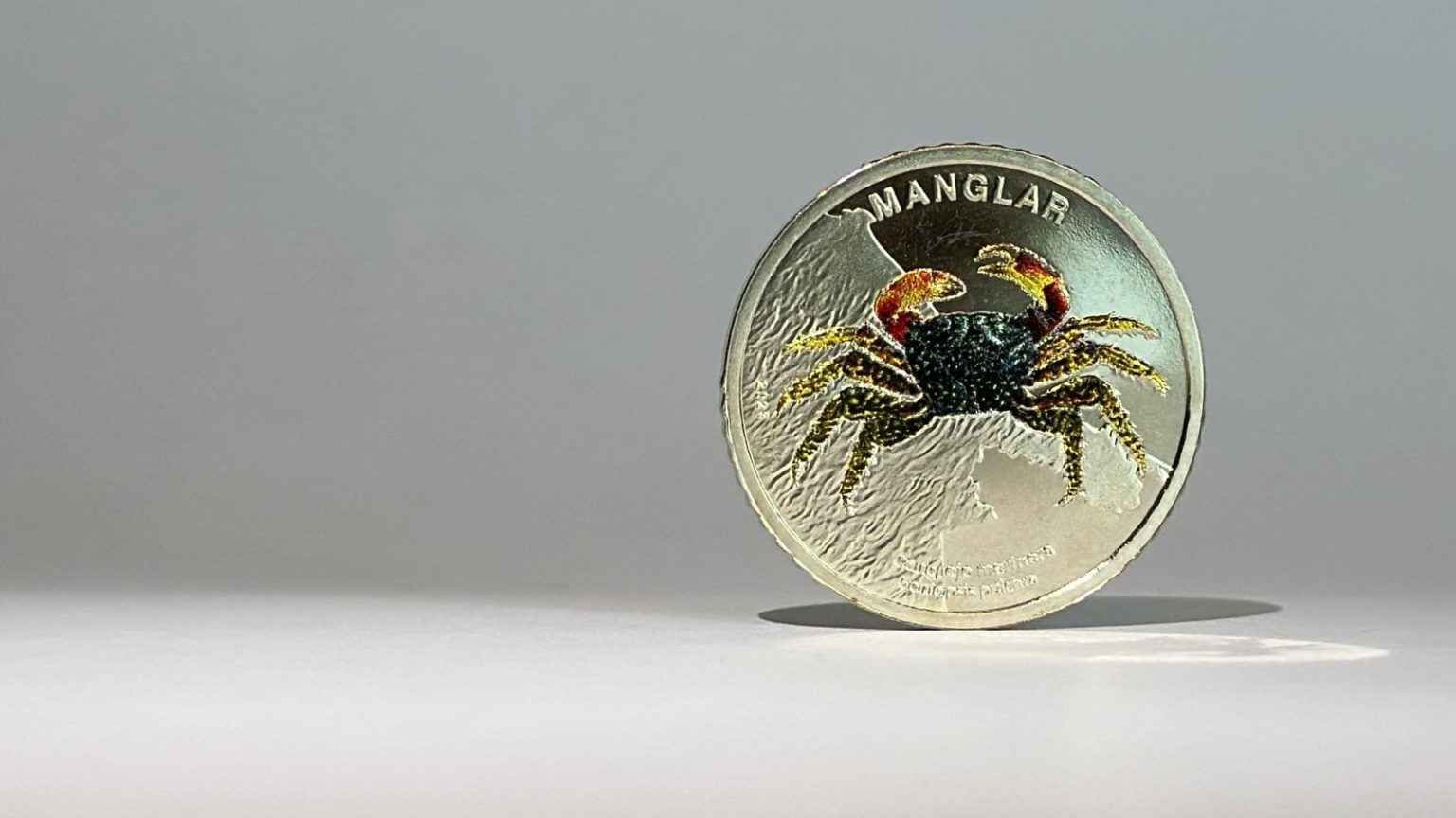 Imagen principal del artículo: Cangrejo marinera es el protagonista de la nueva moneda coleccionable de 50 colones