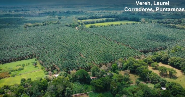 ¿Ya conoce Corredores? UNA impulsa proyecto para promover el turismo en la zona