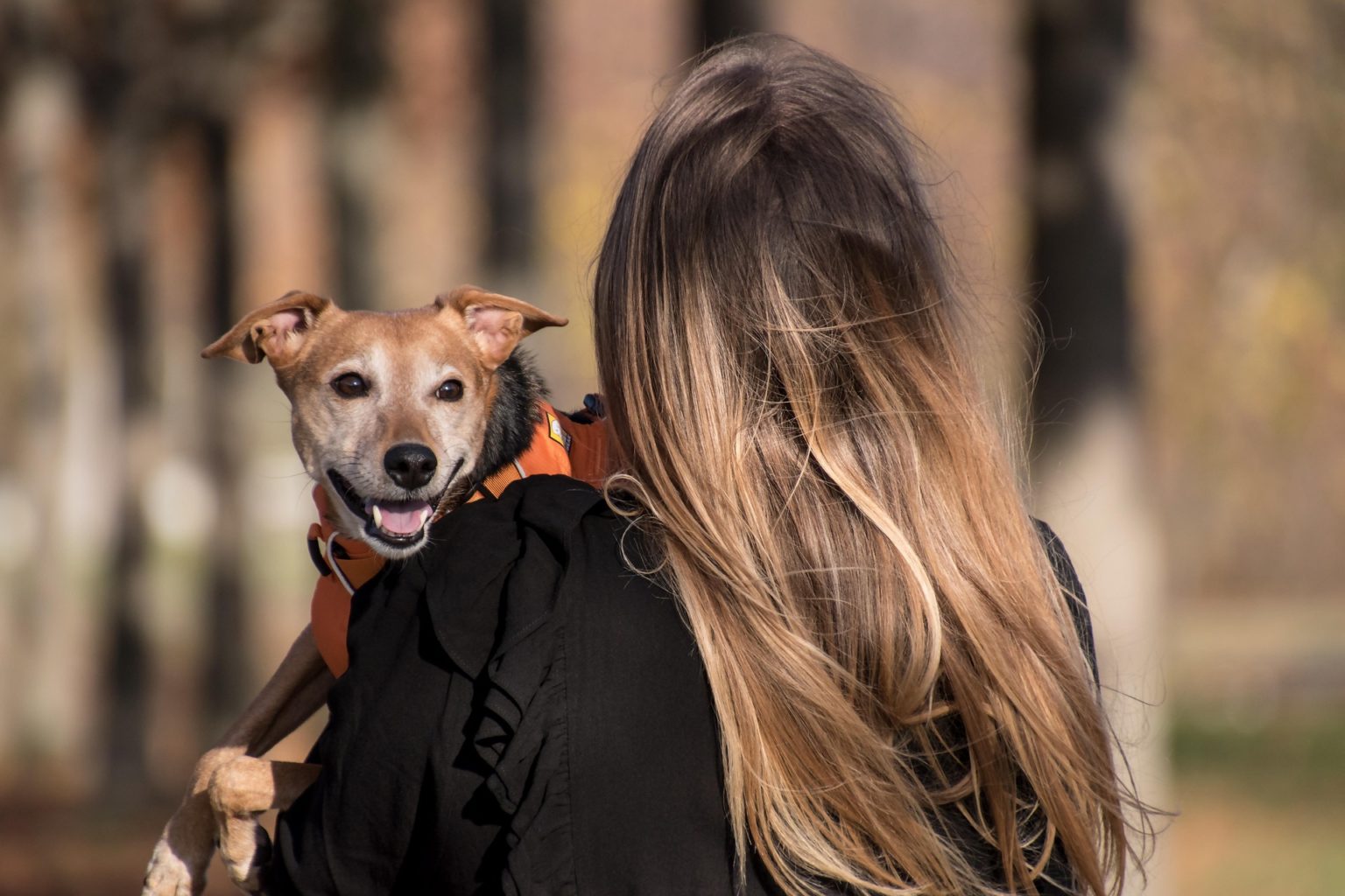 Imagen principal del artículo: Unimer: nace una nueva generación: los “pet parents”