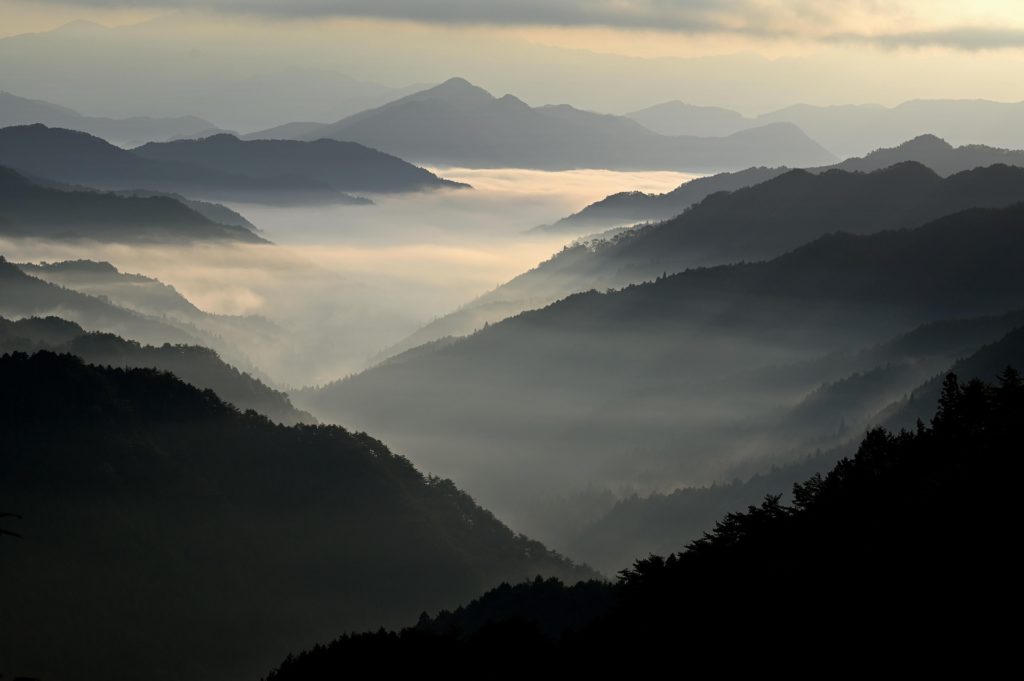 El valor invisible de la naturaleza