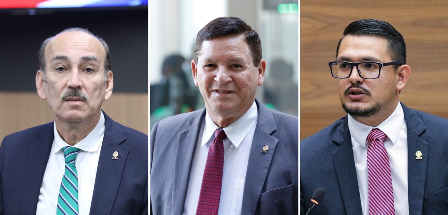 Imagen principal del artículo: La decadencia legislativa