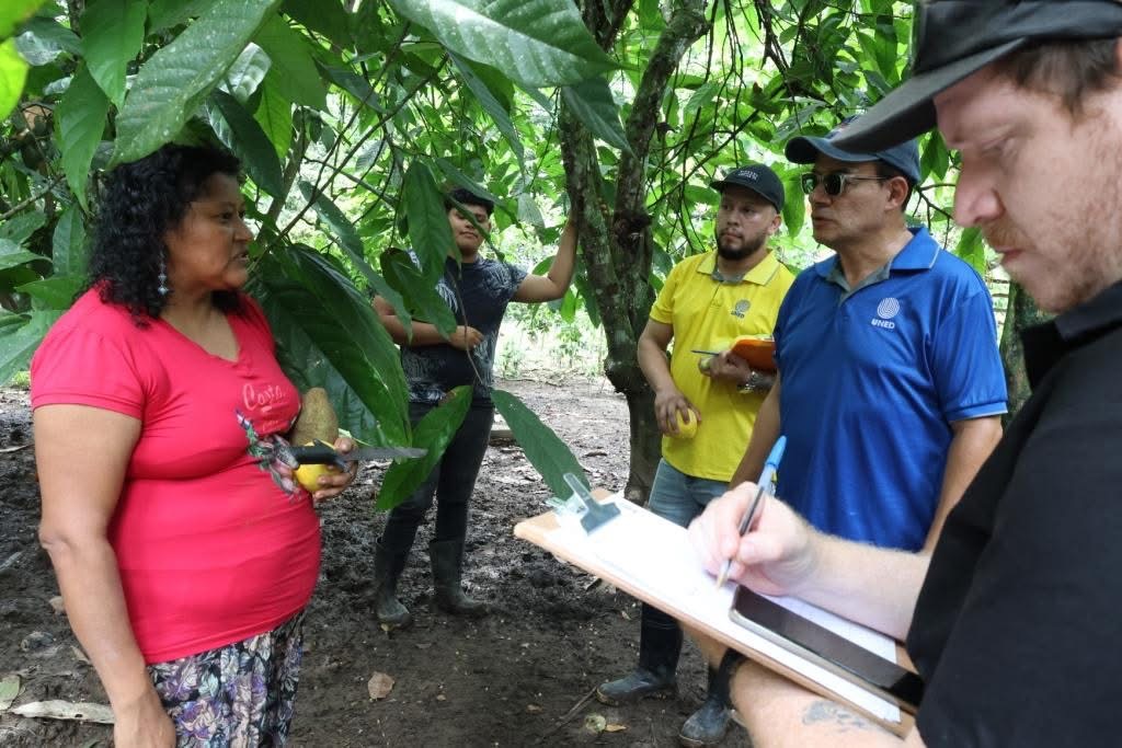 "Ruta del Cacao": proyecto de la UNED fortalece el turismo y preserva la herencia bribri en Talamanca
