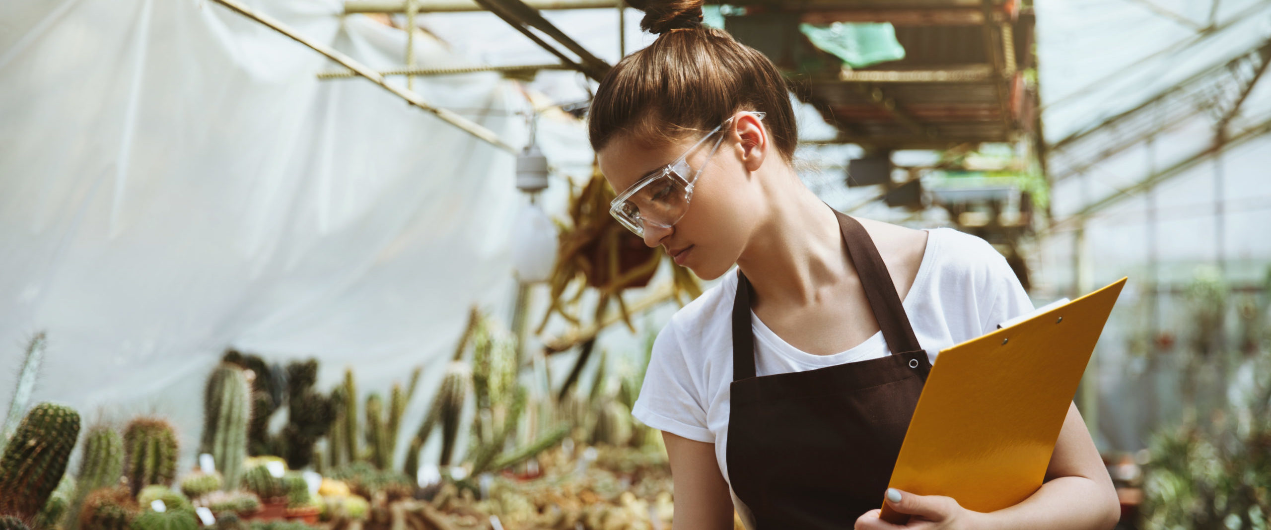 Imagen principal del artículo: MEIC e Inder convocan a jóvenes de zonas rurales al "Bootcamp de Emprendimiento Joven 2025"