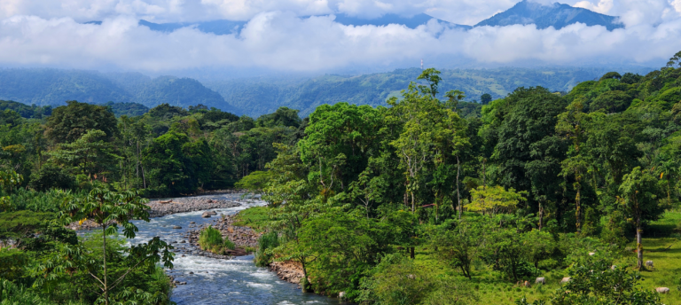 Sarapiquí celebra el Ecofest 2025 con una agenda llena de naturaleza, cultura y sostenibilidad