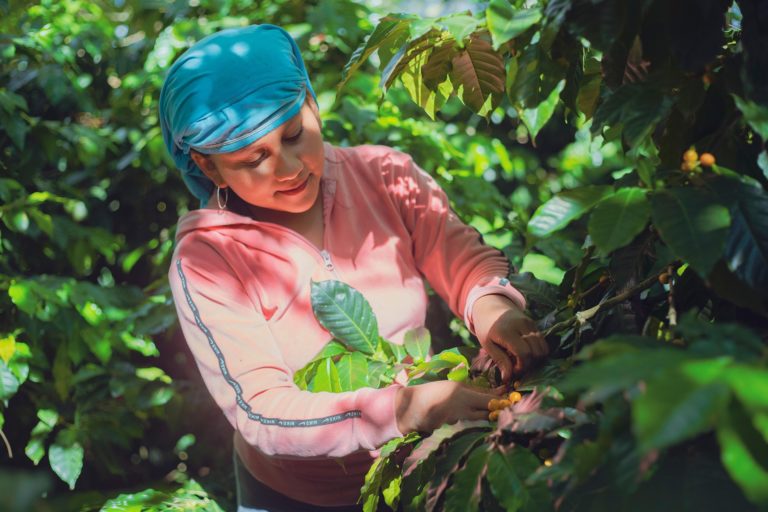 Lo que se pierde en el ruido urbano