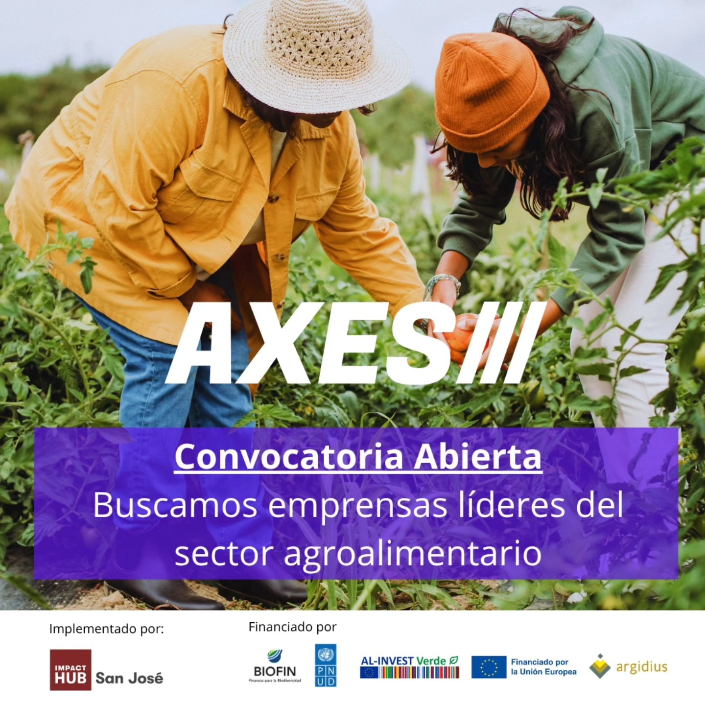 Imagen principal del artículo: Convocatoria abierta para la tercera cohorte del Programa de Aceleración AXES