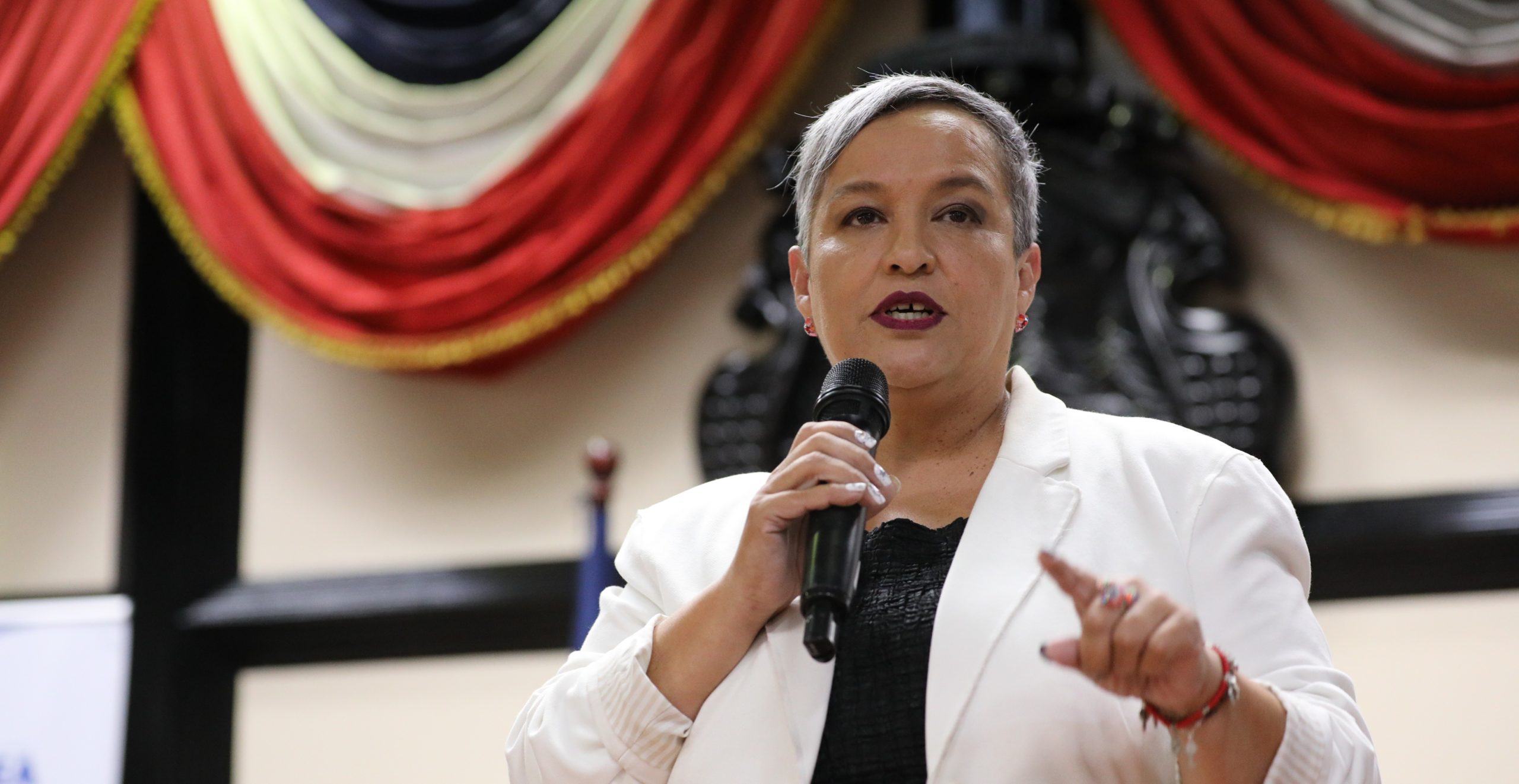 Imagen principal del artículo: Diputada del PLN propone que partidos que incumplan medidas para erradicar violencia política contra las mujeres no puedan participar de elecciones